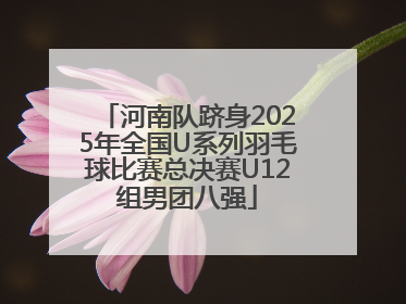 河南队跻身2025年全国U系列羽毛球比赛总决赛U12组男团八强